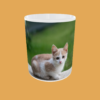 Cat - Adorable Cat Mug with Choice of Coloured Handle - Purrfect for Cat Lovers