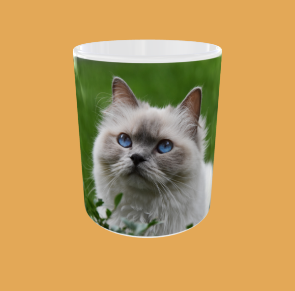 Cat -  Cat Lover's Ceramic Mug -