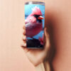 Tumbler - Bird #1
