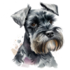 Coaster - Dogs - Adorable Schnauzer - Perfect Gift for Dog Lovers