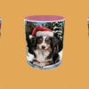 Christmas - Puppy #19 - Image 3