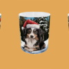 Christmas - Puppy #19 - Image 5