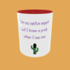 Sarcastic Quotes - I'm No Expert
